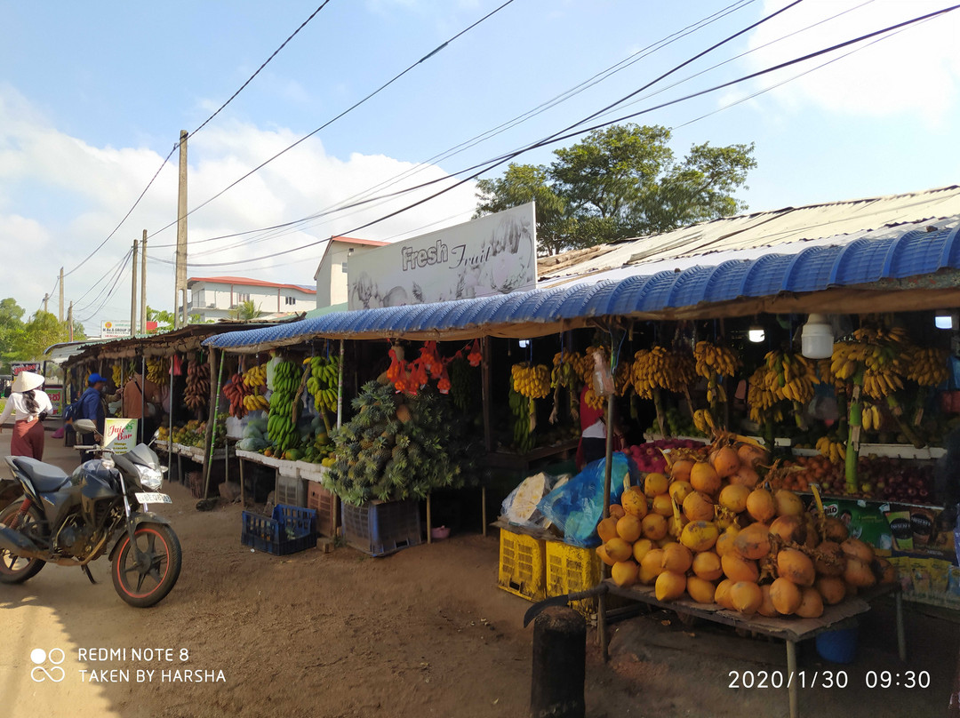 I Go Lanka Tours-卡图纳耶克必去景点