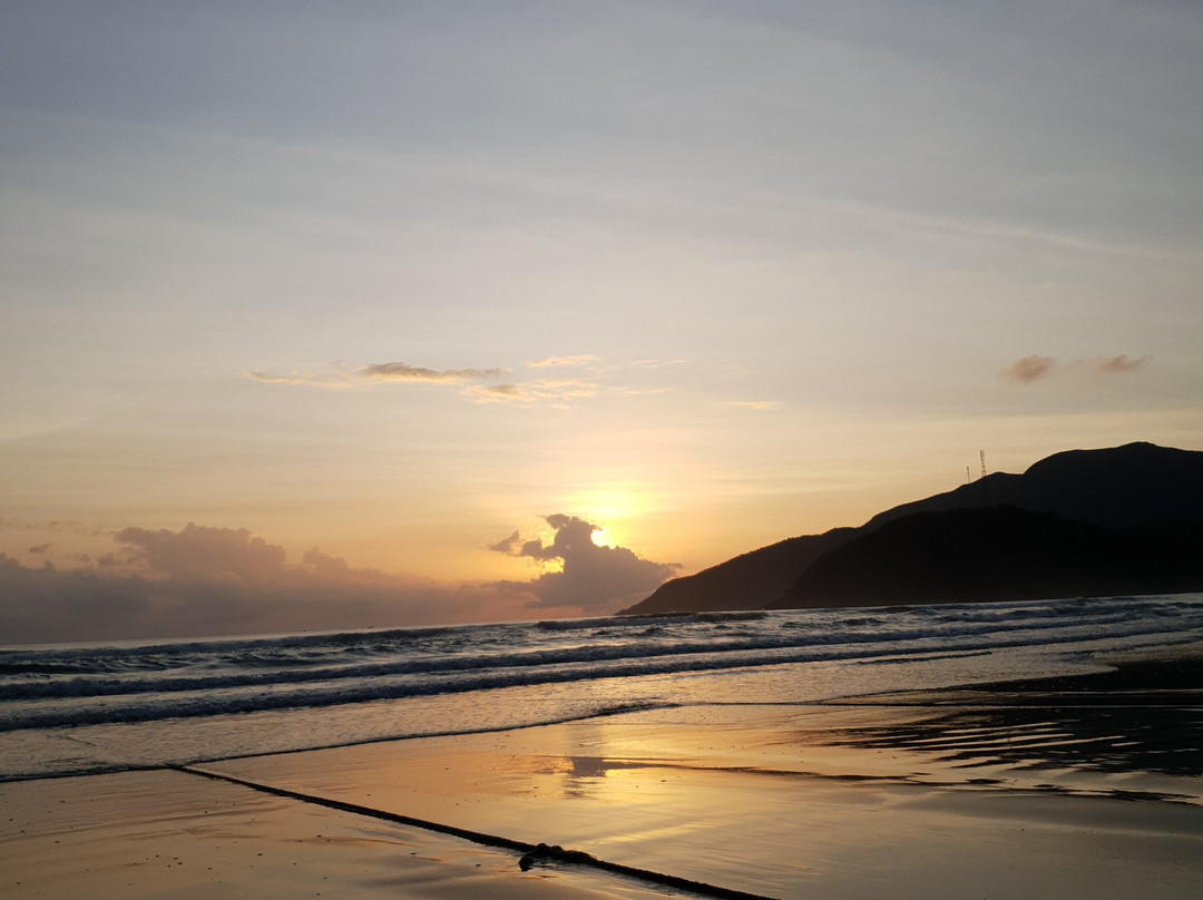 野生海滩度假村主图