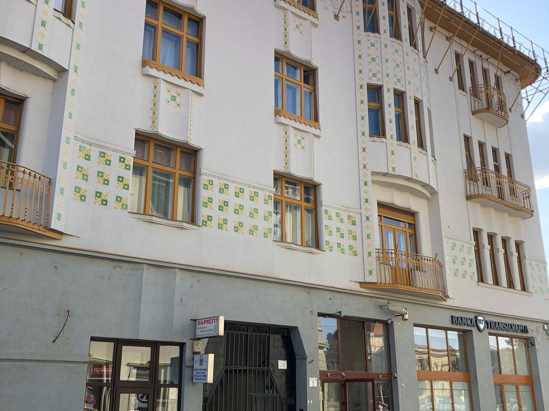 Palatul Moskovits Adolf Si Fii-拉迪亚必去景点