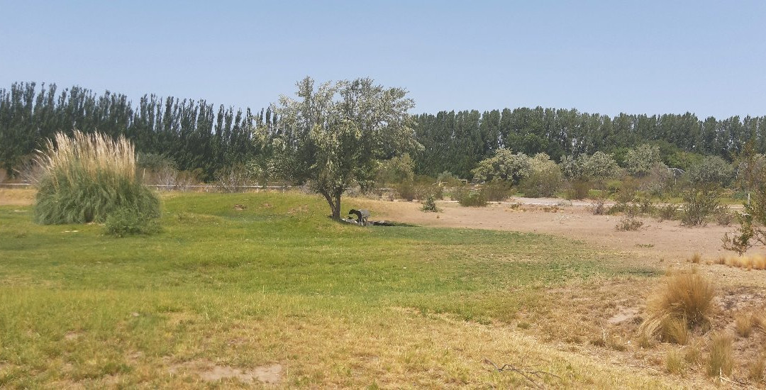 Bubalco-Allen必去景点