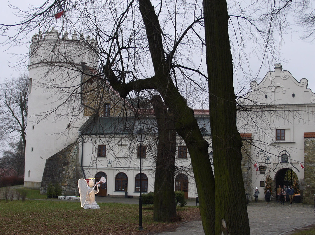 Kazimierzowski Castle In Przemyśl景点图片