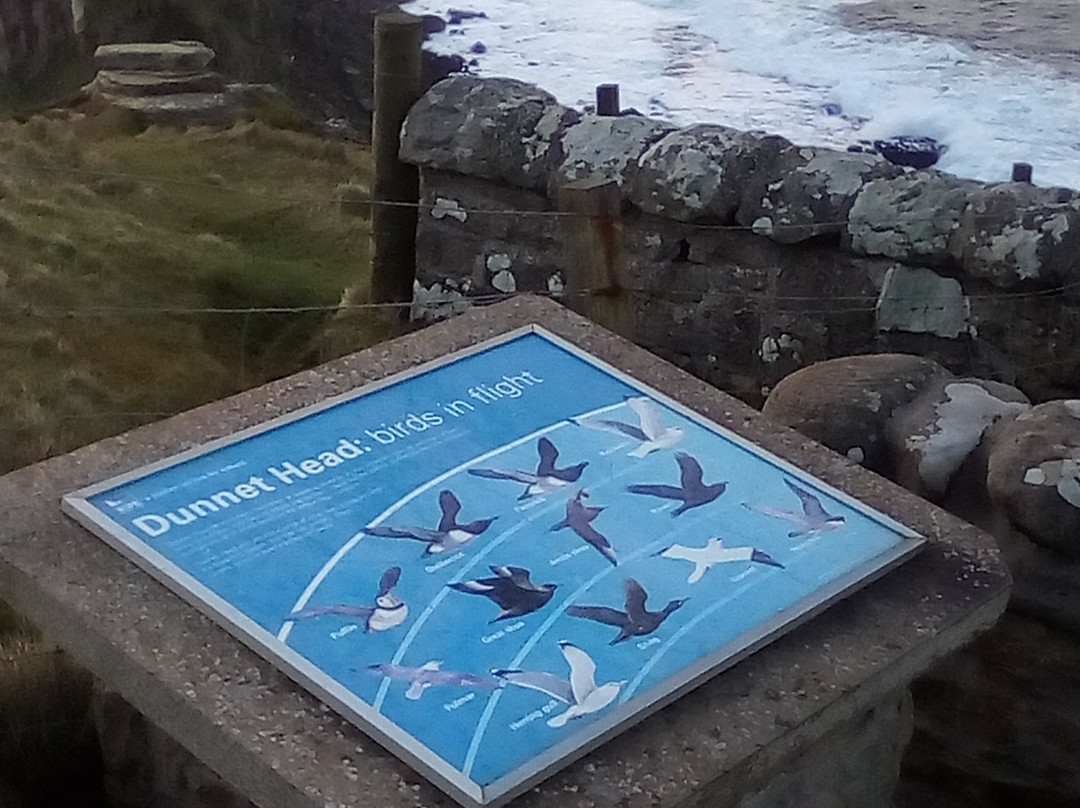 Dunnet Head景点图片