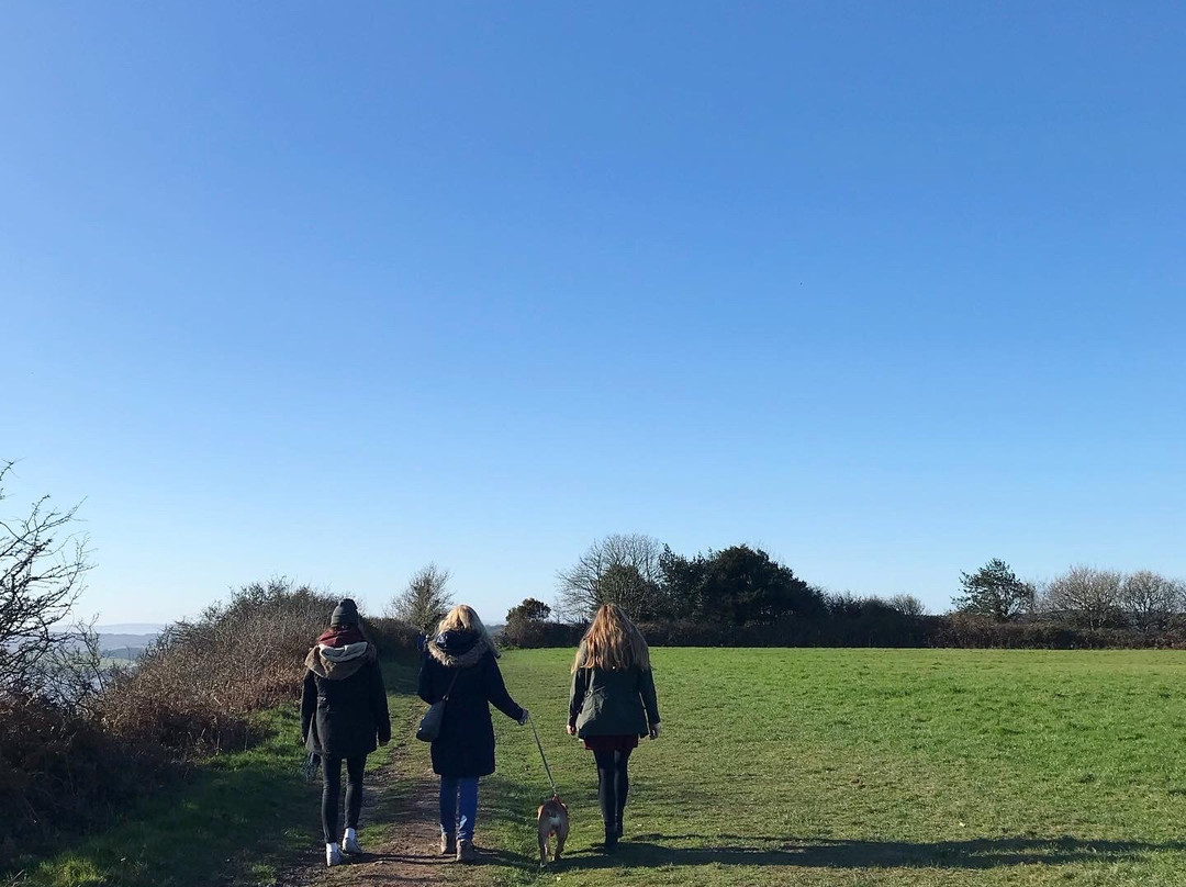 Salcombe Hill Walk-西德茅斯必去景点
