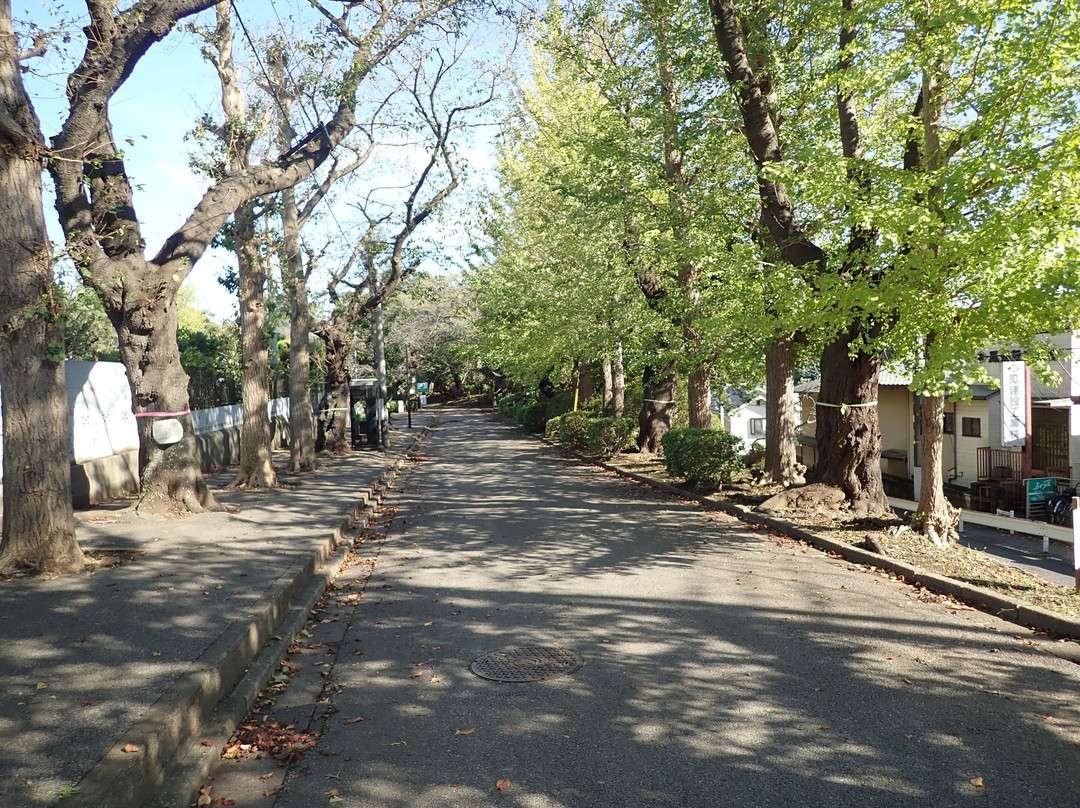 Kashiwa Park-柏市必去景点