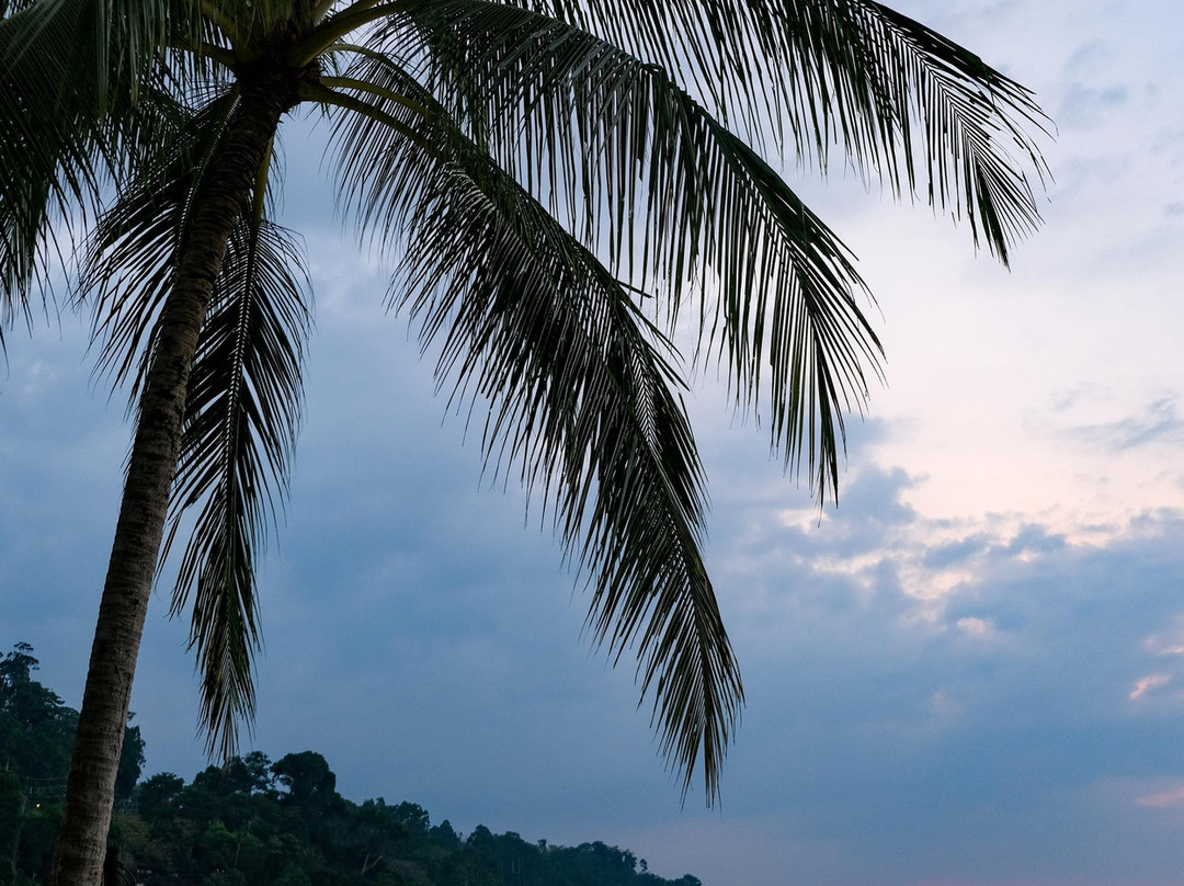 考拉天堂度假村主图