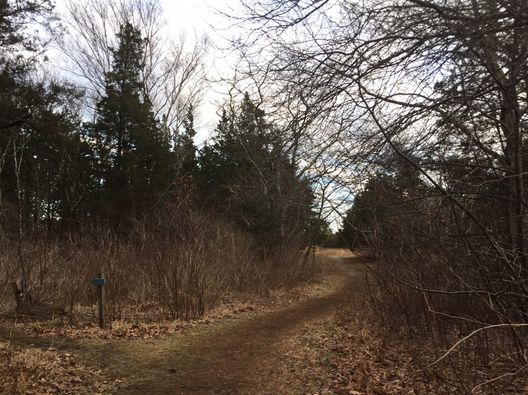 Osamequin Nature Trails and Bird Sanctuary-Barrington必去景点