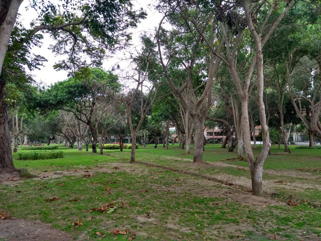 San Isidro-利马必去景点