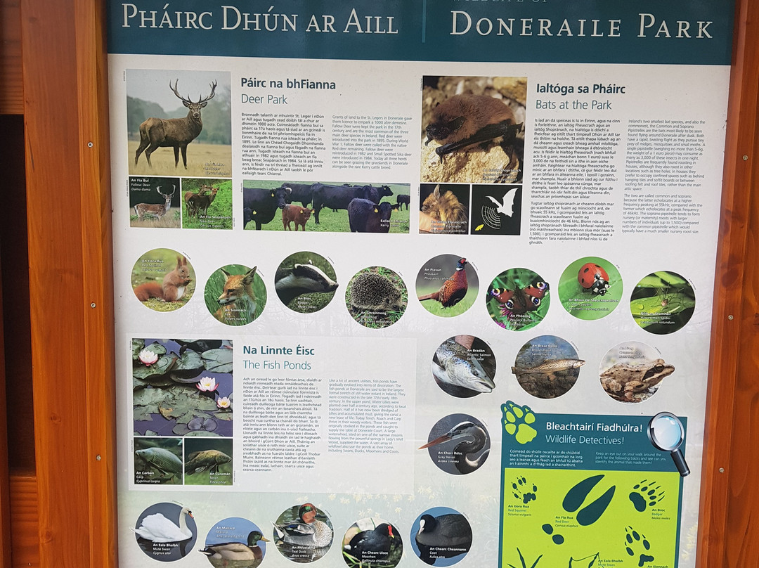 Doneraile Wildlife Park-Doneraile必去景点