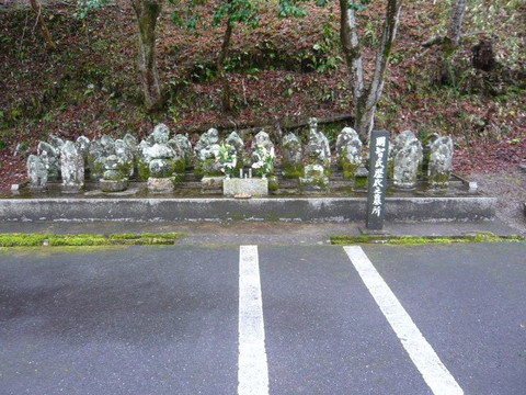 Tenryu-ji Temple-可儿市必去景点