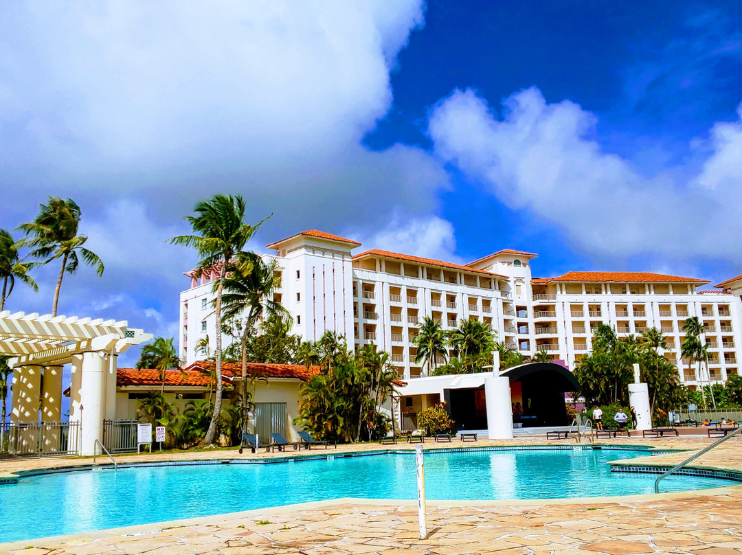 利奥宫殿酒店主图