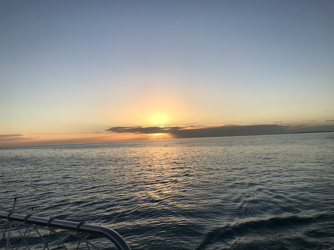Sailing Catamaran Sirius景点图片