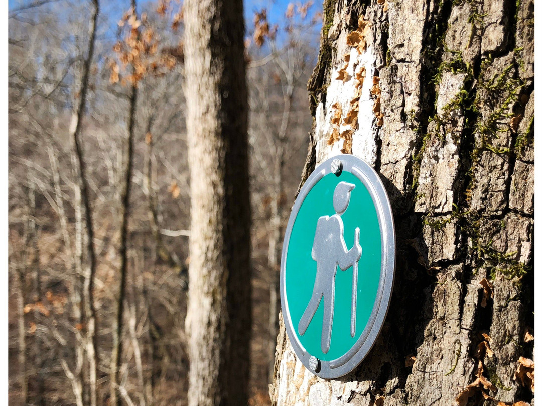 Timberland Park-富兰克林必去景点