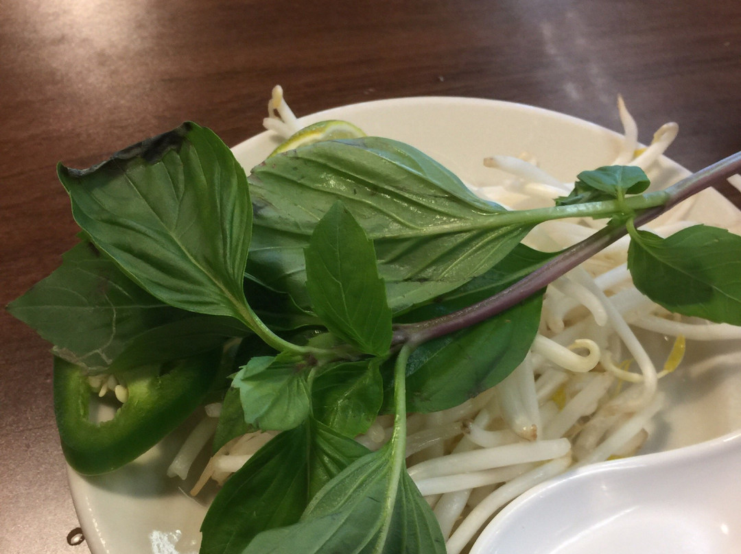 Yummy Pho Vietnamese Restaurant