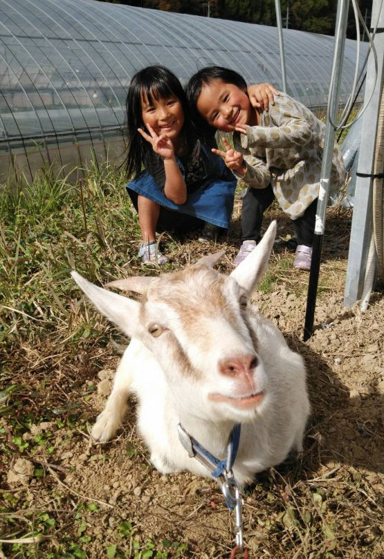 Nakahata Farm景点图片