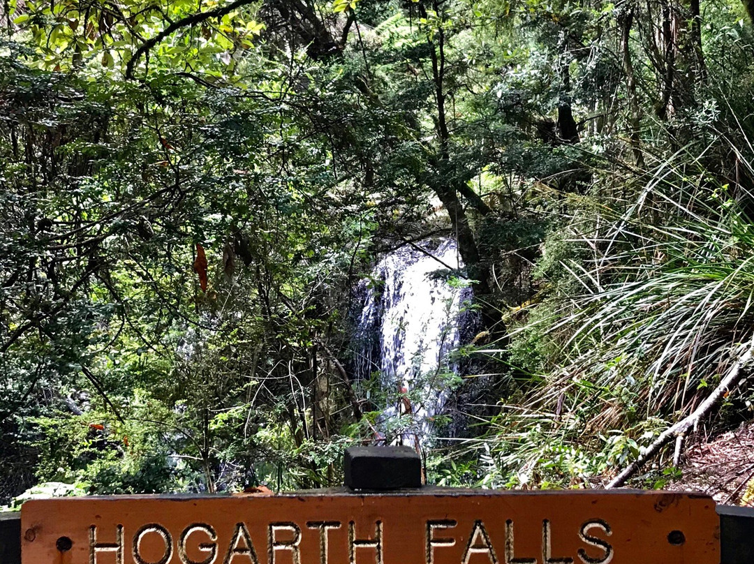 Hogarth Falls景点图片