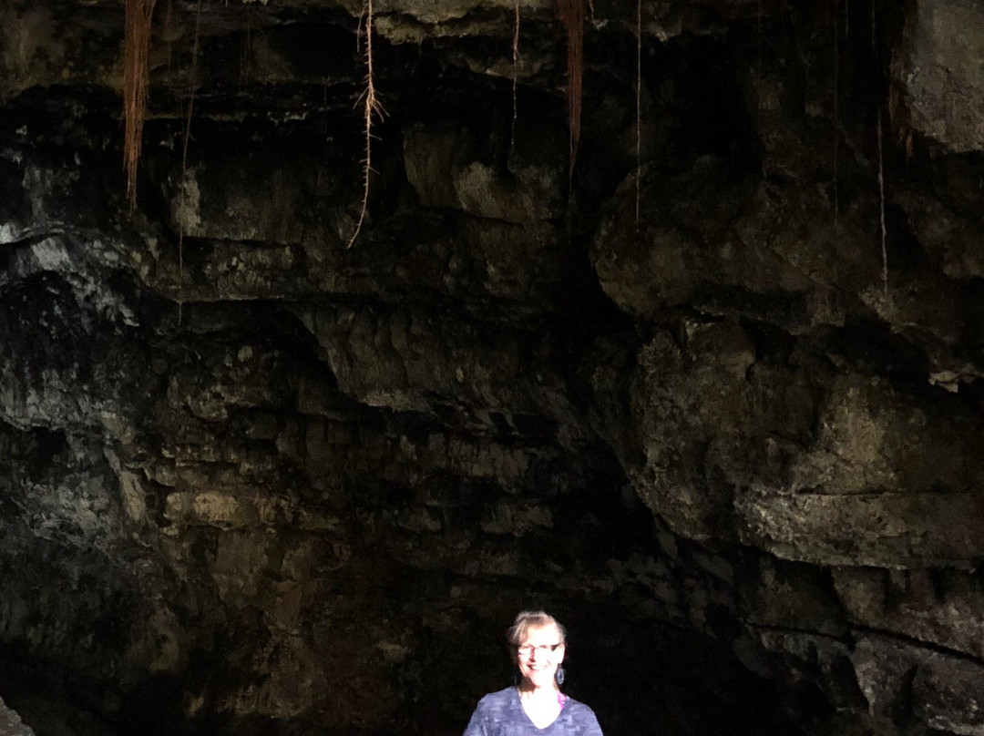 Kaumana Caves Park-希洛必去景点