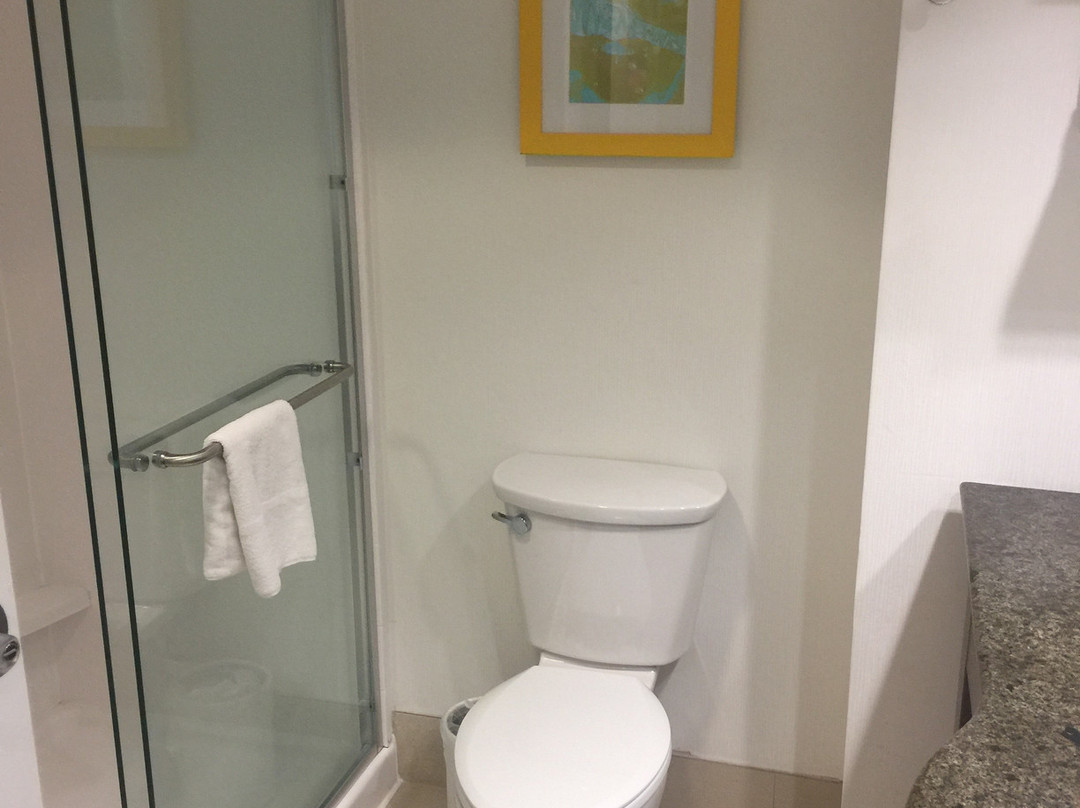 Hampton Inn & Suites Memphis At Beale Street主图