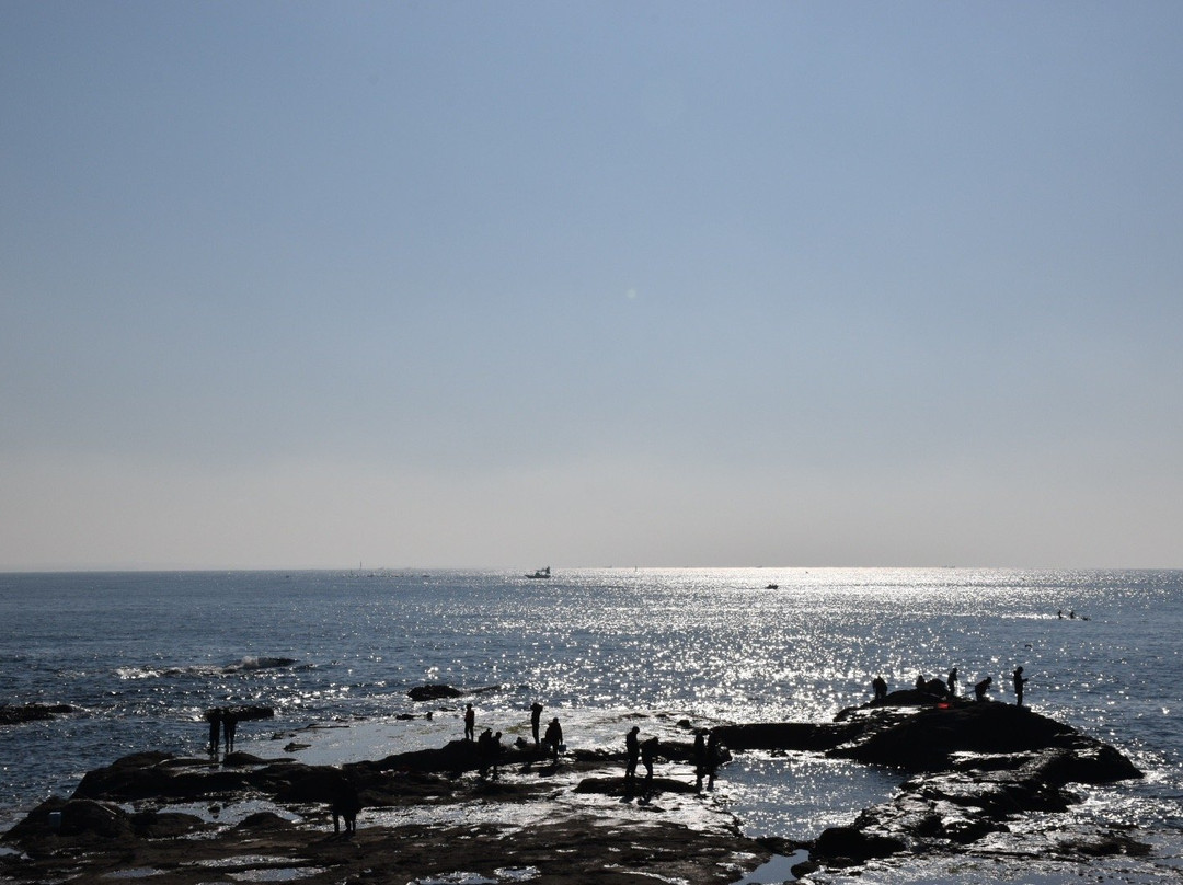 Chigogafuchi Marine Plateau-Enoshima必去景点