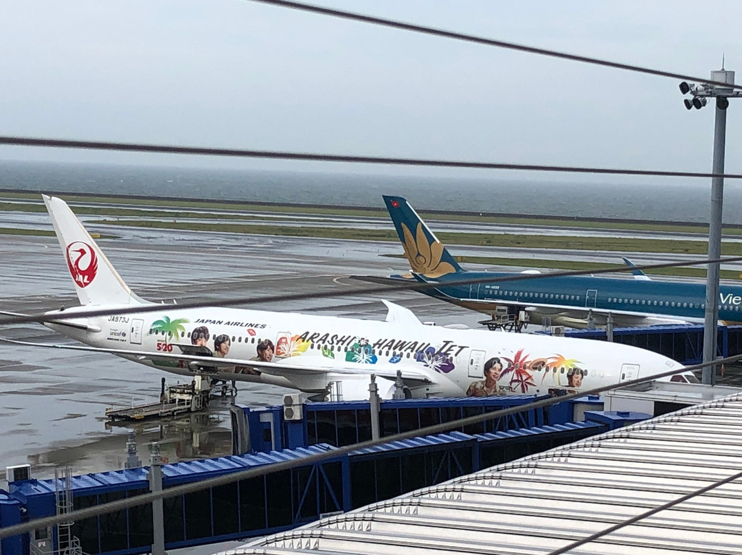 Nagoya Airport Observation Deck景点图片