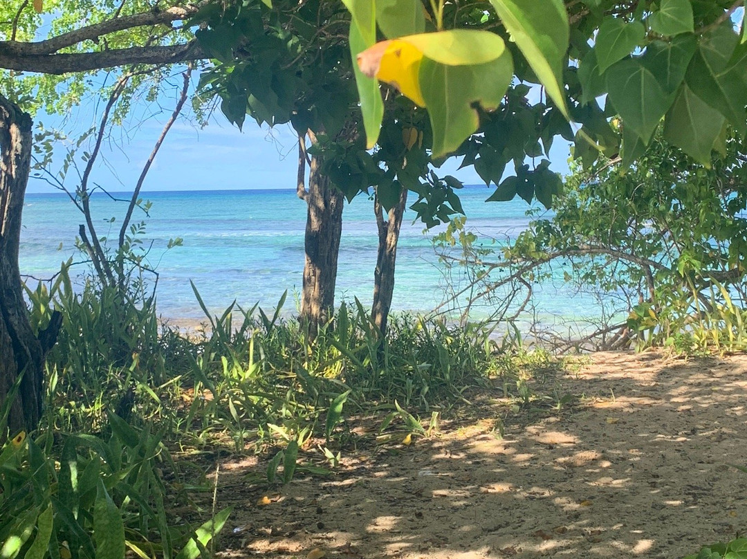 Les Marais de Port-Louis-Port-Louis必去景点