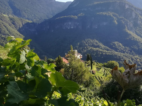 Maso Thaler-Montagna必去景点