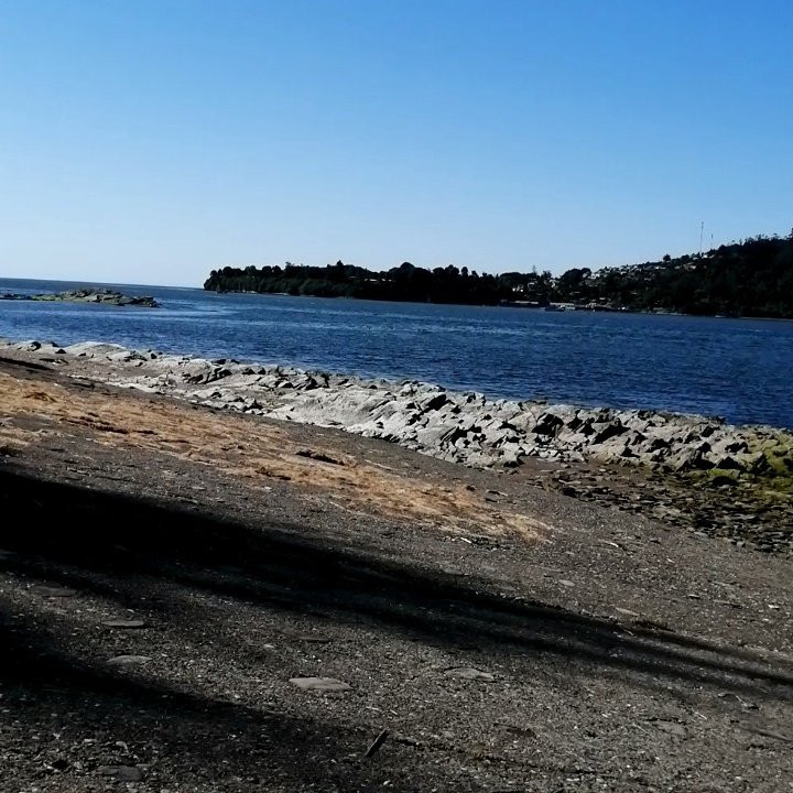 Isla Mancera-瓦尔迪维亚必去景点