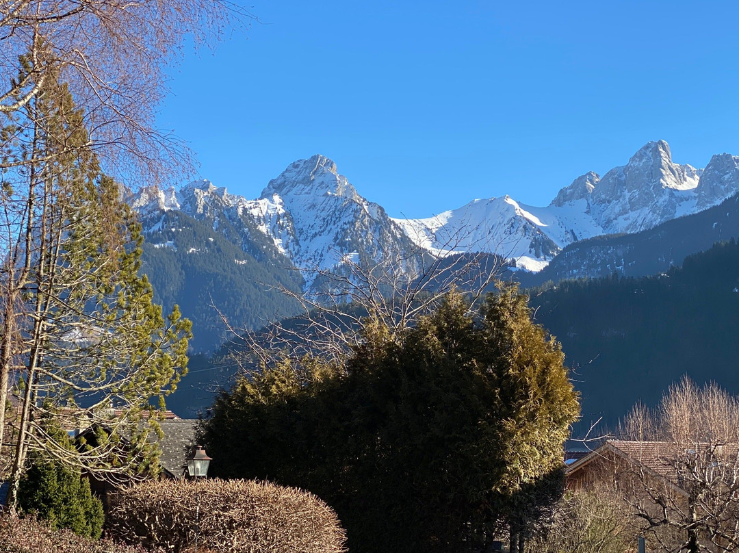 Le Vieux Chalet主图