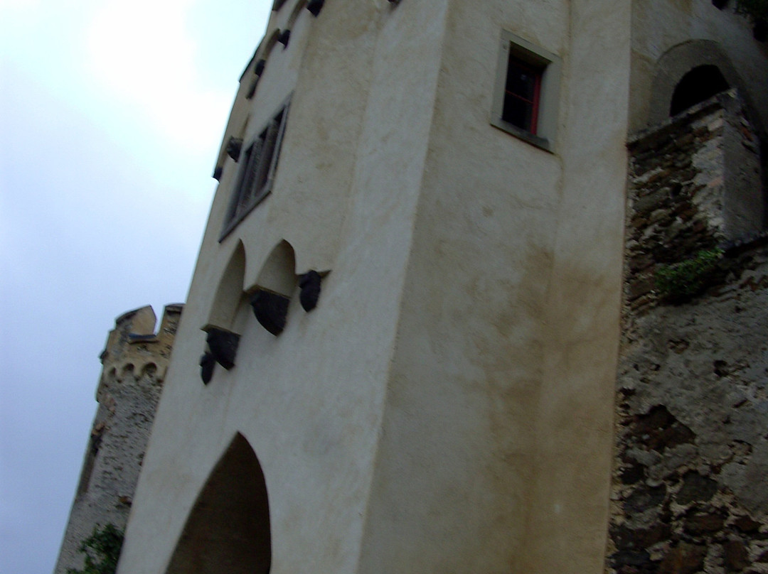 Burg Lahneck景点图片
