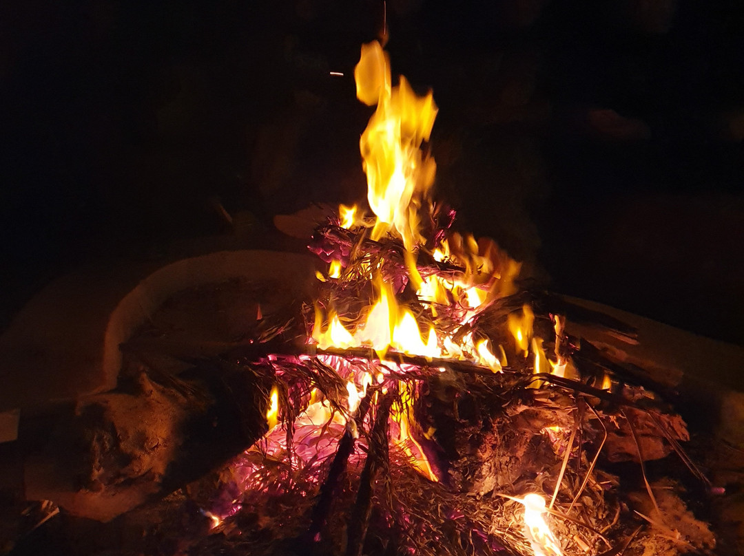 Siwa Safari Gardens Hotel主图