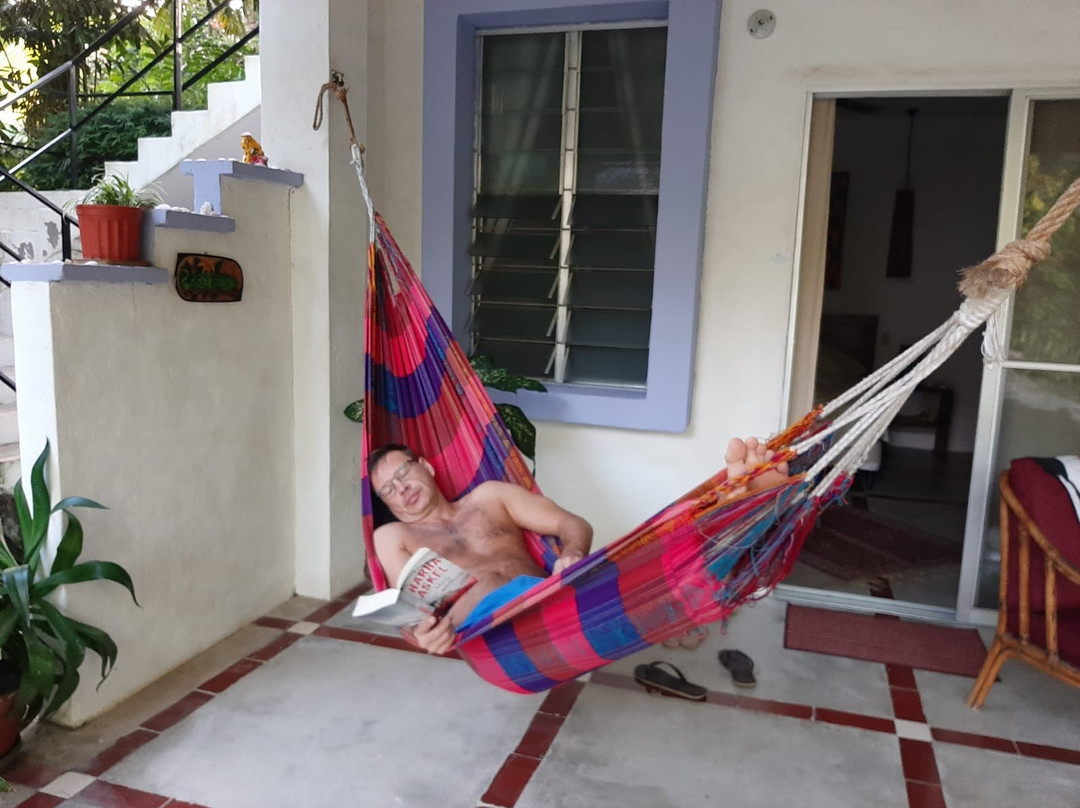 Togo Bed and Breakfast主图