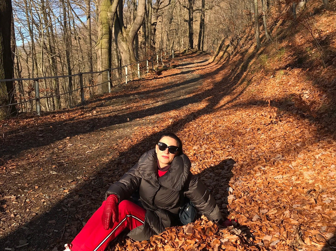 Kuckuckstein Castle-Liebstadt必去景点