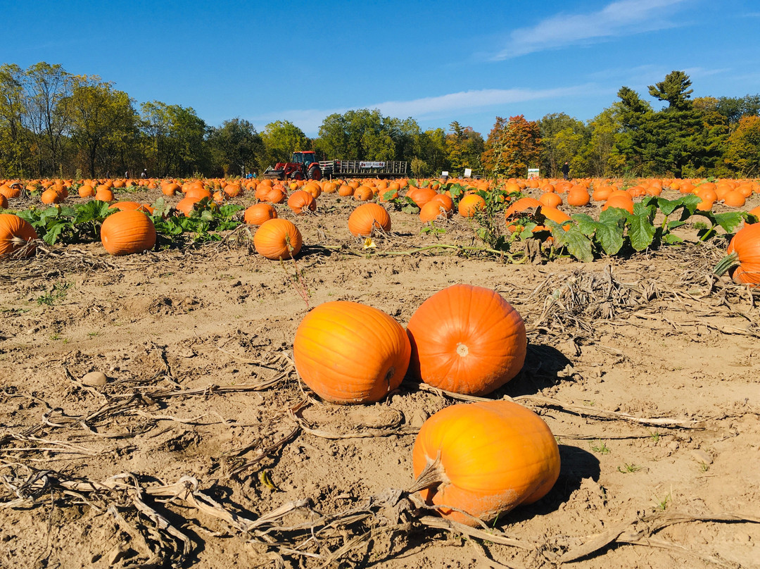 Frootogo Orchards-Waterdown必去景点