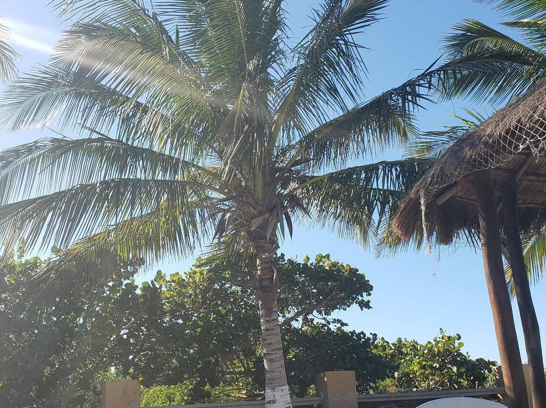 Tecnohotel Beach主图