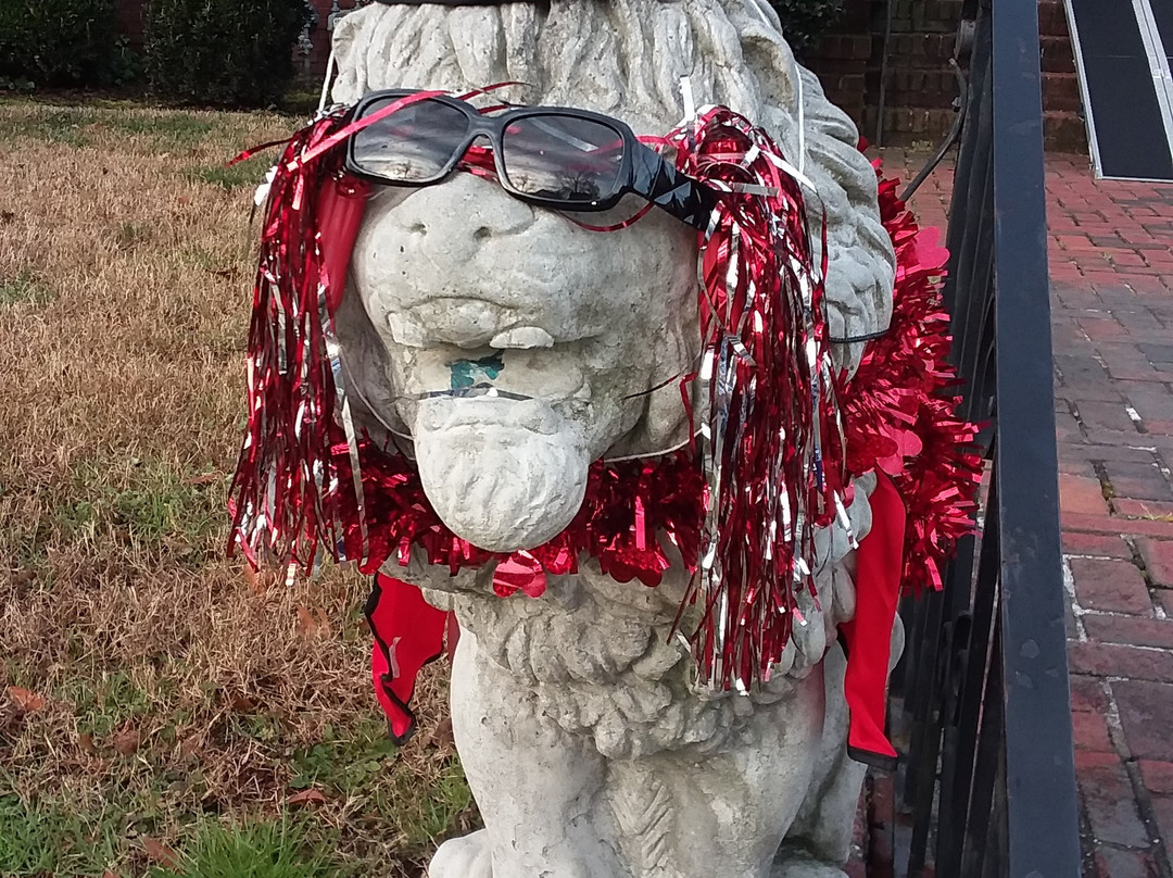 Scotch and Soda the Lions-诺福克必去景点