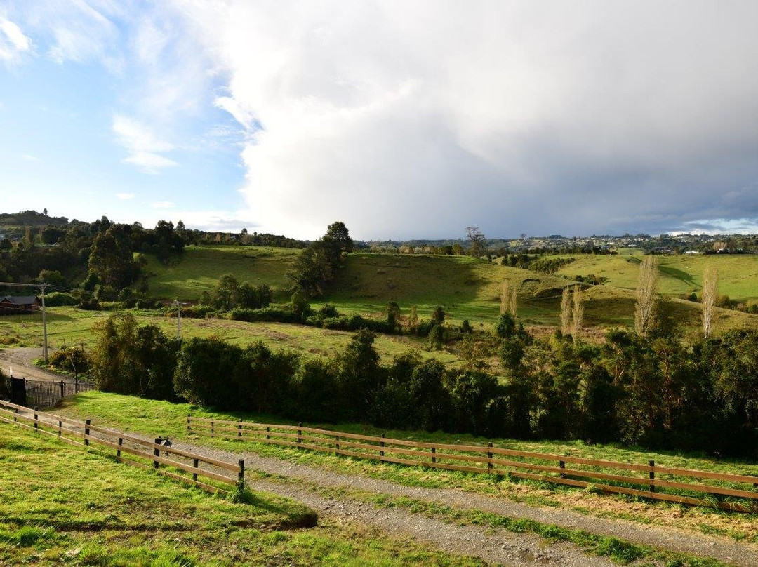 Hostal Boutique Los Arrayanes主图