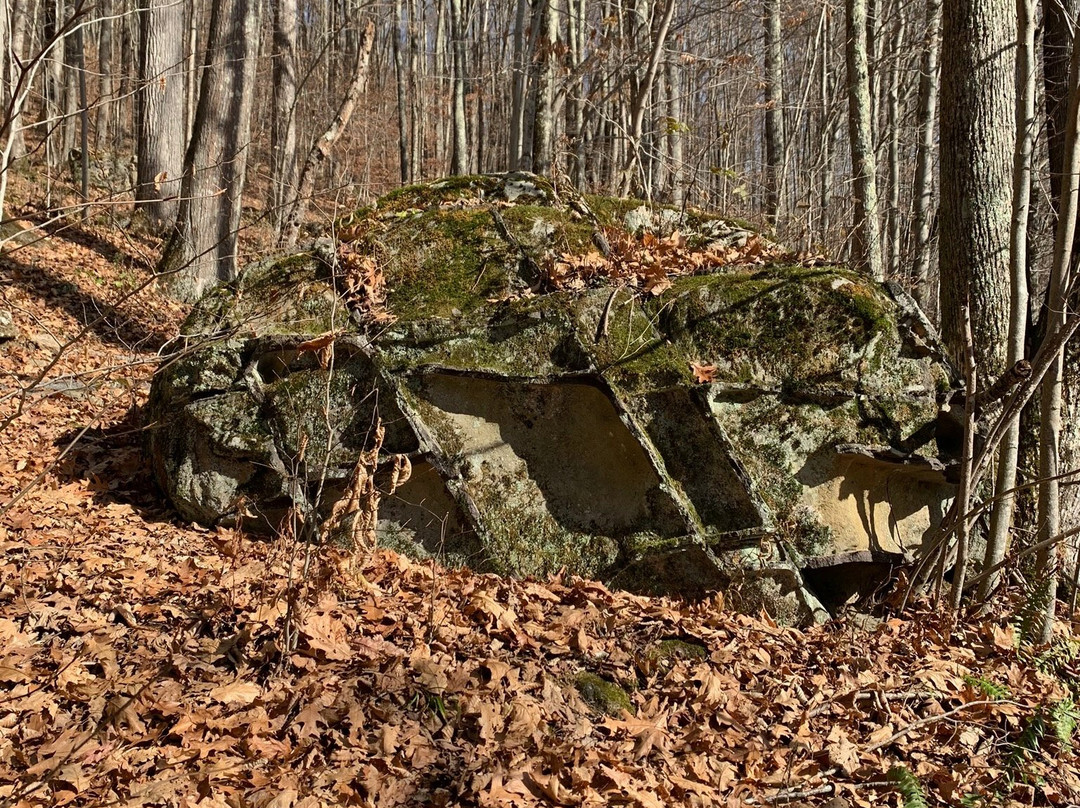 Honeycomb Rocks Trail景点图片