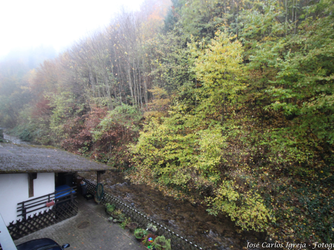 Schlossmühle Glottertal主图