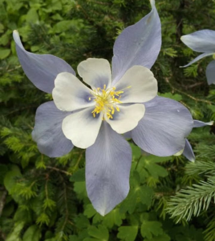 Echo Lake Park-Evergreen必去景点