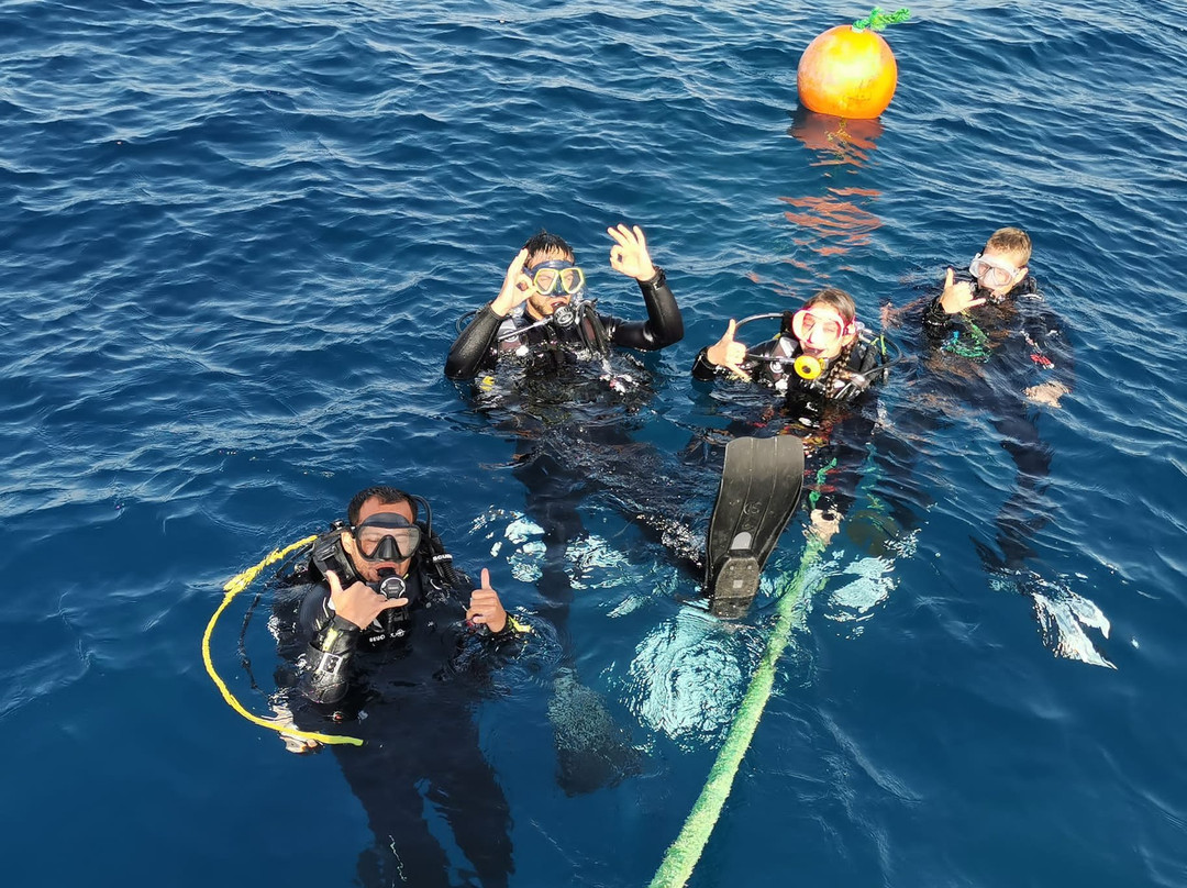 Sinai Divers Aqaba-亚喀巴必去景点