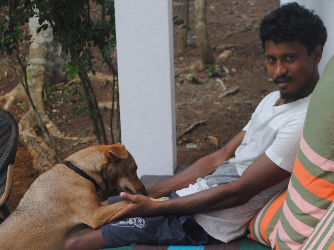 Shikra Cinnamon-Gandara必去景点