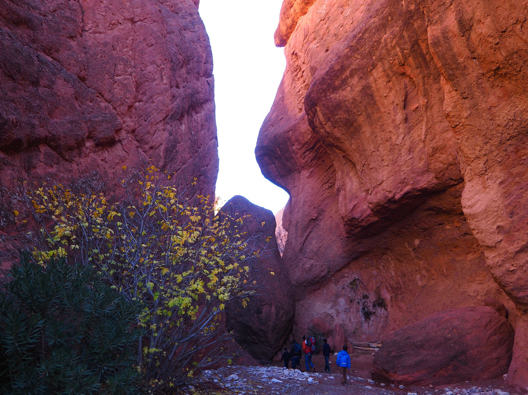 Morocco Gorges Dades Tours Excursions-Boumalne Dades必去景点