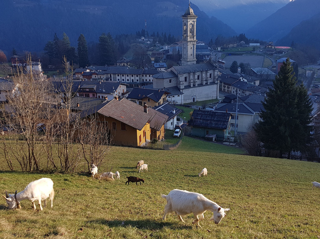 Albergo Brescia主图