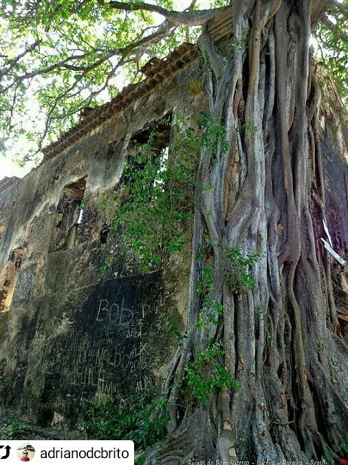 Praia Lucena景点图片