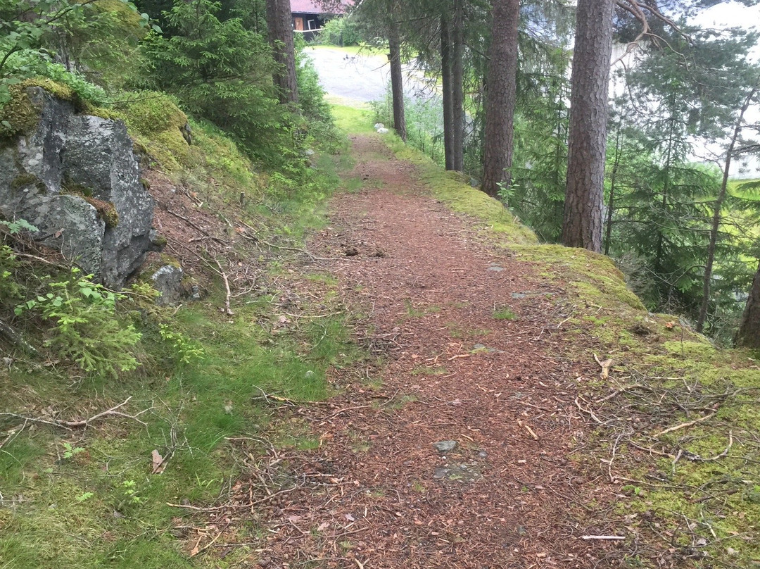 Furulund Pensjonat主图