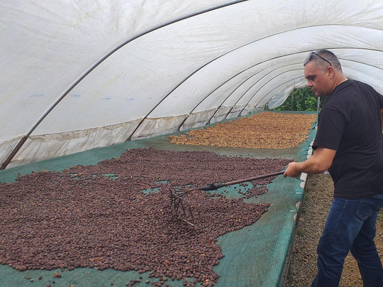 Coffea diversa-Buenos Aires必去景点