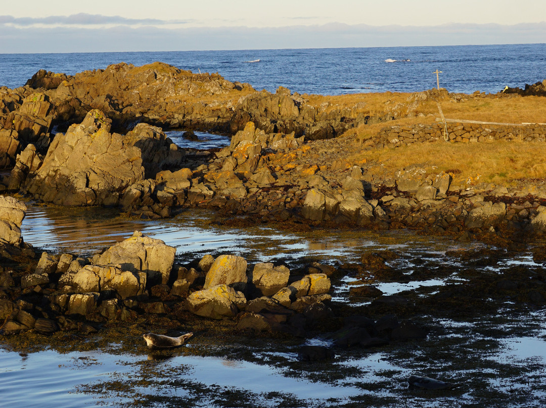 Svalbard Seal Watching Site-Vatnsnes必去景点