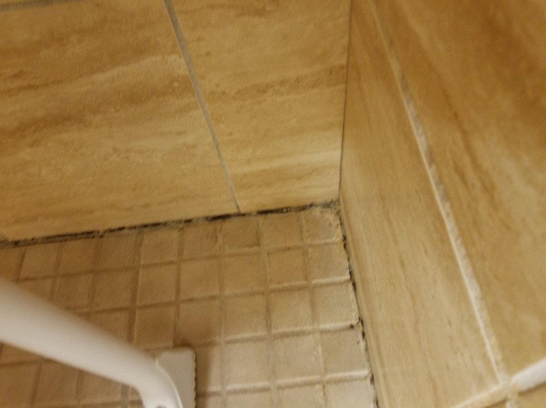 Microtel Inn & Suites By Wyndham Quincy Downtown/river Area主图