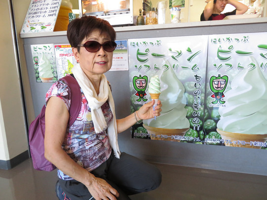 Recordkan-新冠町必去景点