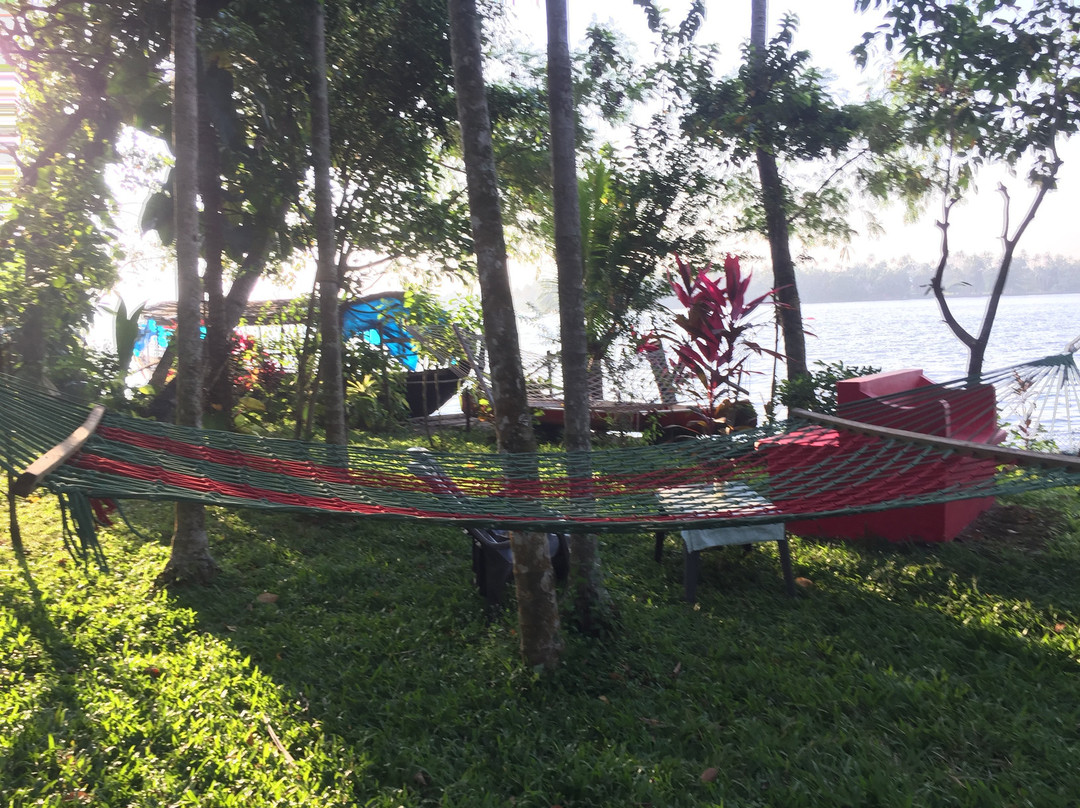 Ashtamudi Villas主图