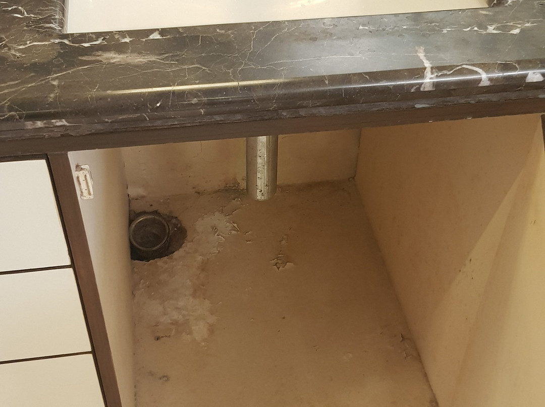 The Almond Tree主图